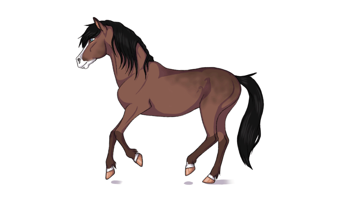 gif horse 107